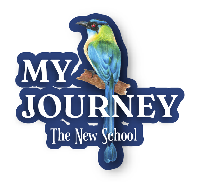 My Journey